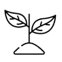 Plantas para regalar en Bejar