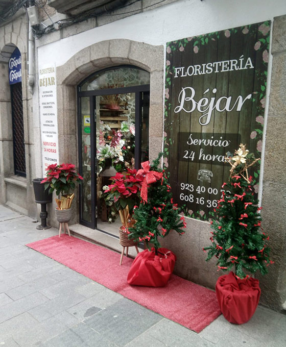 Floristería en Bejar con envío a domicilio