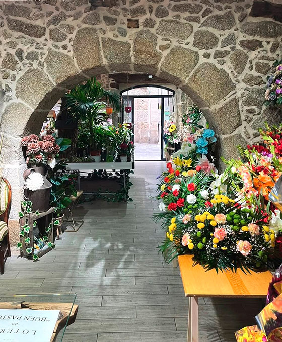 Arreglos de flores originales en Bejar